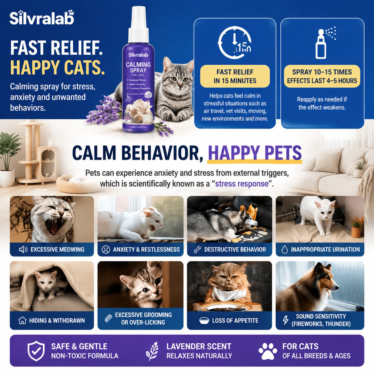 Stop Cat Anxiety Before It Gets Worse.