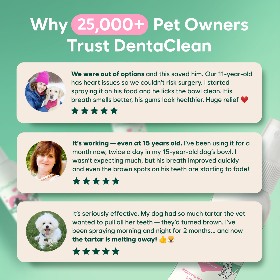 Pet Dental Cleaning Spray