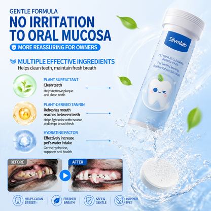 Your Pet Can't Tell You Their Mouth Hurts — But You Can Help With Simple Daily Dental Care