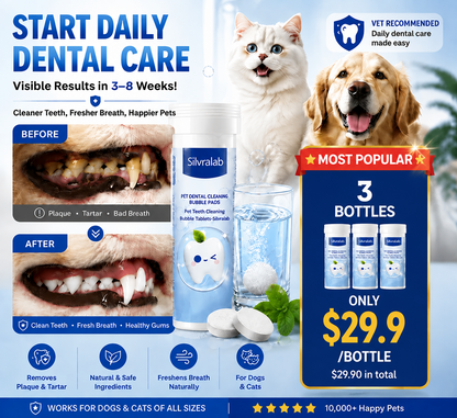 Your Pet Can't Tell You Their Mouth Hurts — But You Can Help With Simple Daily Dental Care