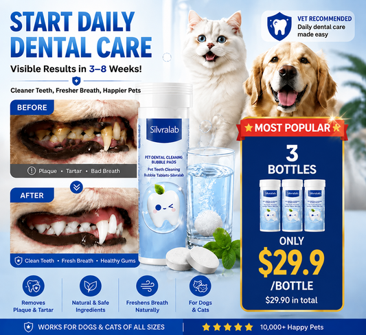 Your Pet Can't Tell You Their Mouth Hurts — But You Can Help With Simple Daily Dental Care