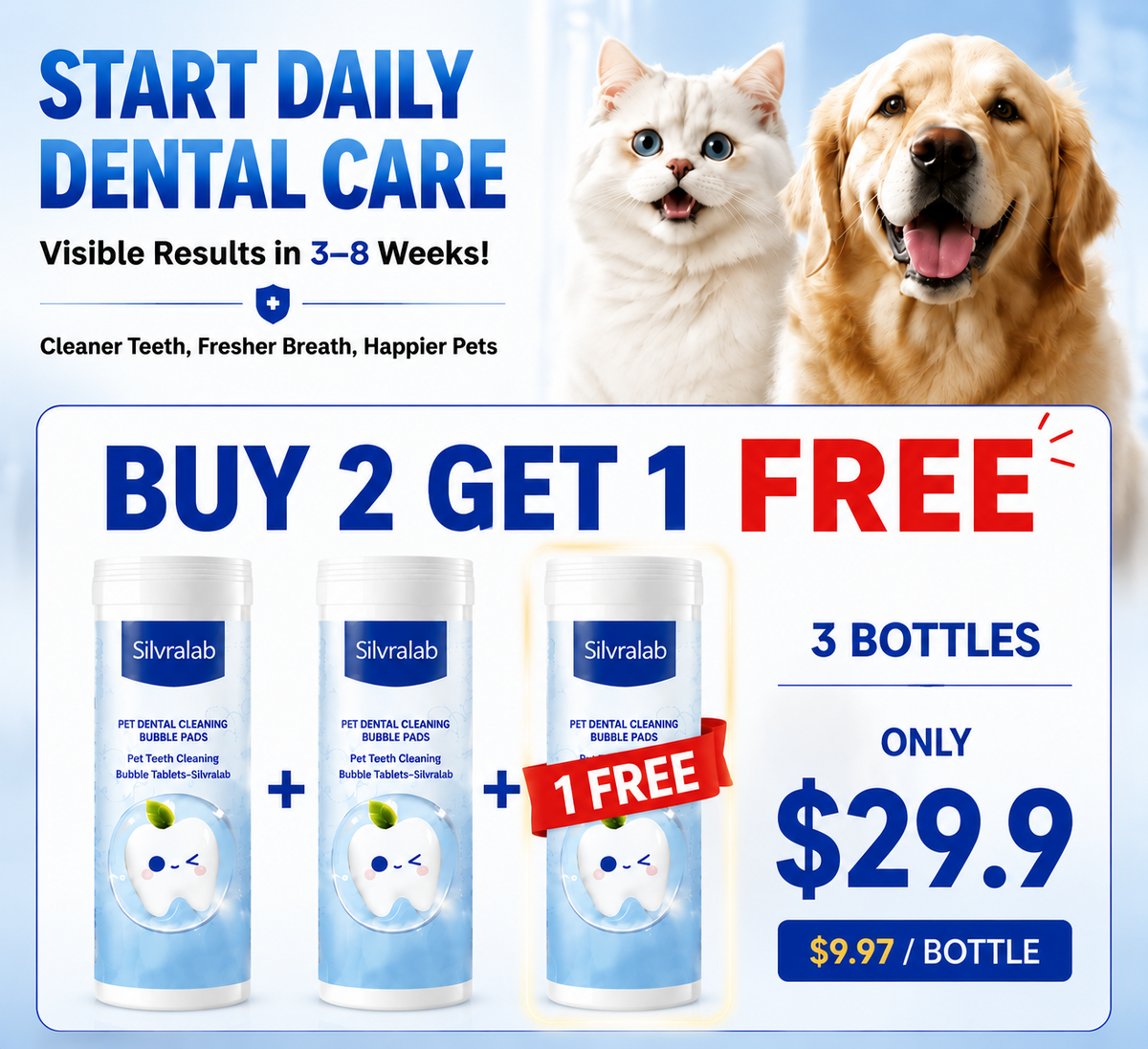 Your Pet Can't Tell You Their Mouth Hurts — But You Can Help With Simple Daily Dental Care