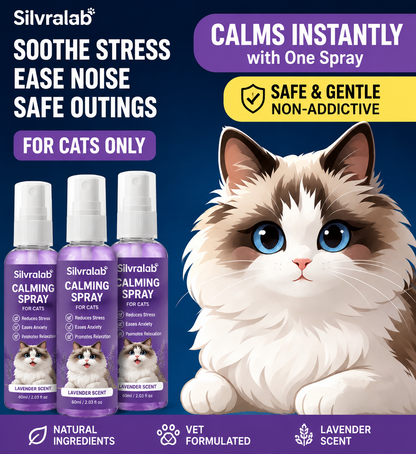 Stop Cat Anxiety Before It Gets Worse.
