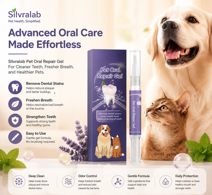 Effortless Dental Care Without Brushing