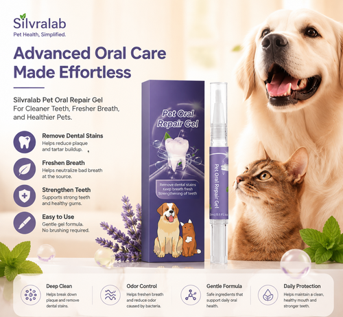 Effortless Dental Care Without Brushing
