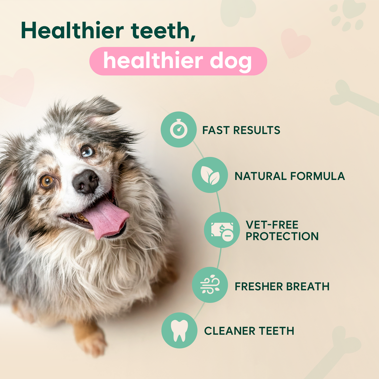 Pet Dental Cleaning Spray