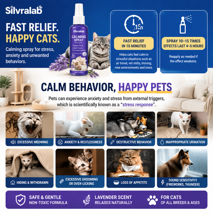 Stop Cat Anxiety Before It Gets Worse.