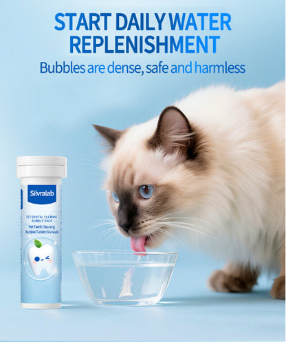 Fresh Breath Starts Here — The Easy Daily Dental Care Your Pet Will Love