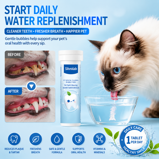 Your Pet Can't Tell You Their Mouth Hurts — But You Can Help With Simple Daily Dental Care