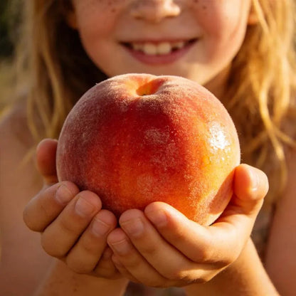 🔥 65K+ SOLD! 🌱 Silvralab Grow Your Own Fruit Garden – Honey Red Peach Tree & Unique Pink Blueberry Seeds