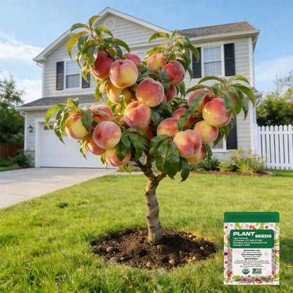 🔥 65K+ SOLD! 🌱 Silvralab Grow Your Own Fruit Garden – Honey Red Peach Tree & Unique Pink Blueberry Seeds