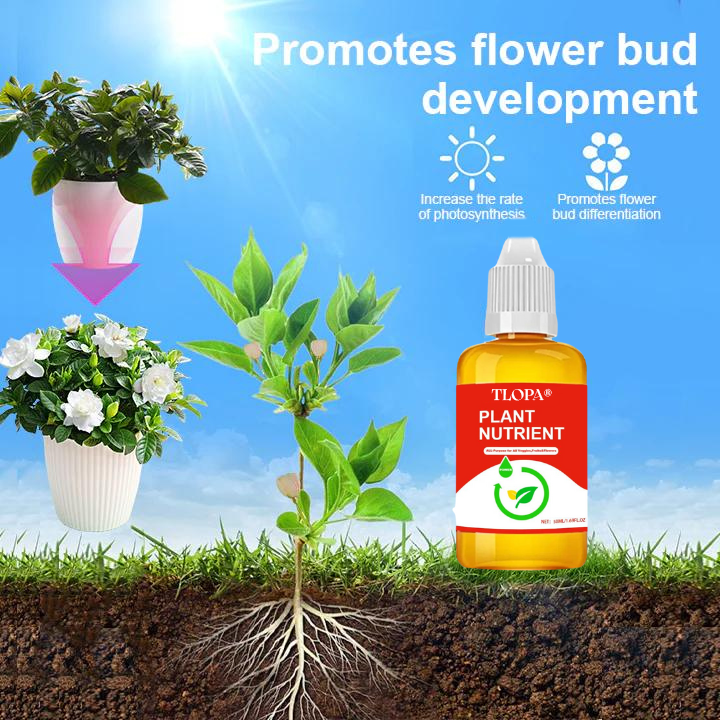 Silvralab Plant Nutrient Solution