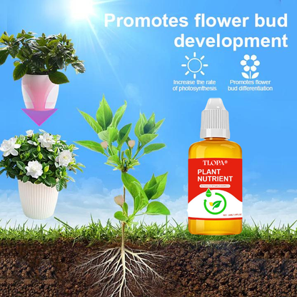 Silvralab Plant Nutrient Solution