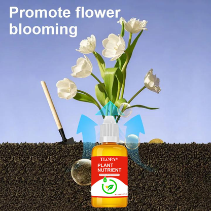 Silvralab Plant Nutrient Solution